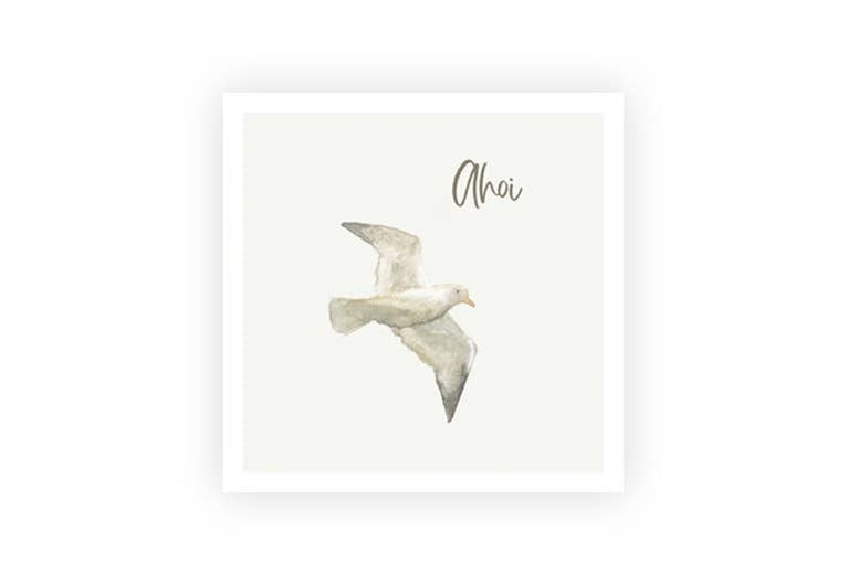 Ahoi Möwe | Postkarte | Gruß