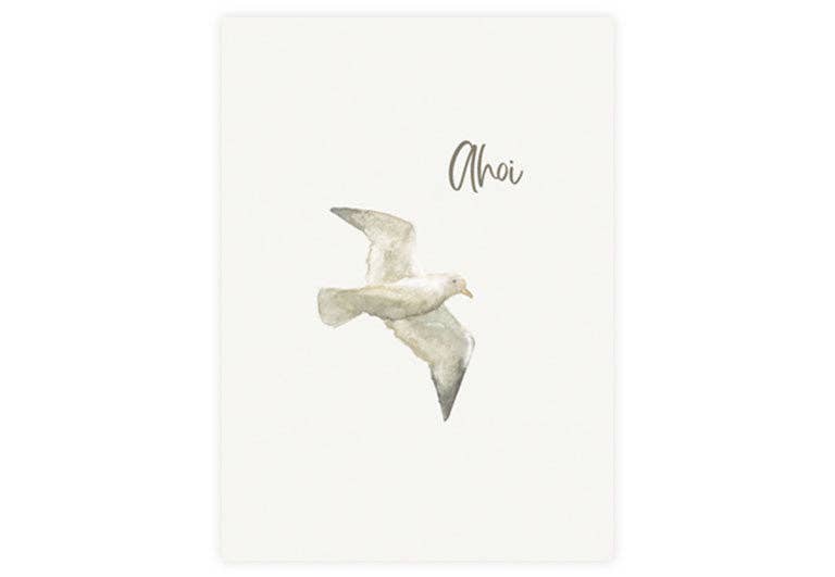 Postkarte Ahoi Möwe | Gruß