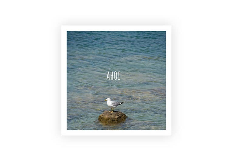 Möwe Ahoi | Postkarte | Gruß