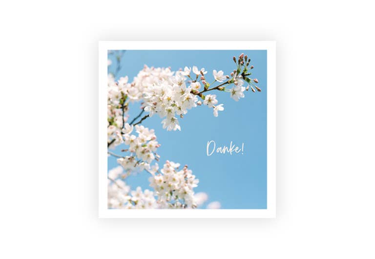 Danke Blüten | Postkarte