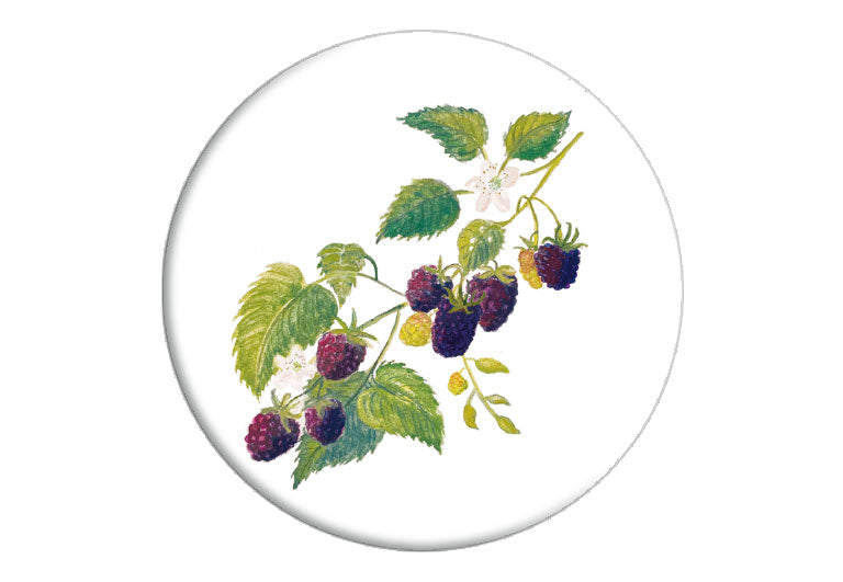 Brombeere | Magnet rund