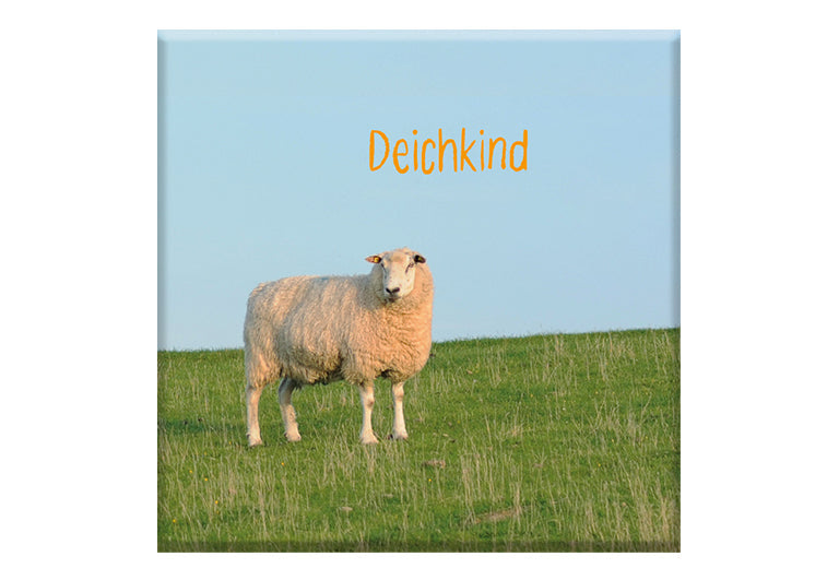 Deichkind | Fotomagnet eckig