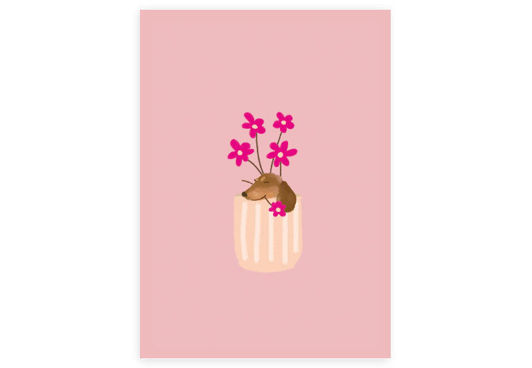 Dackel im Topf | Postkarte | Gruß | Geburtstag | Pappkarte