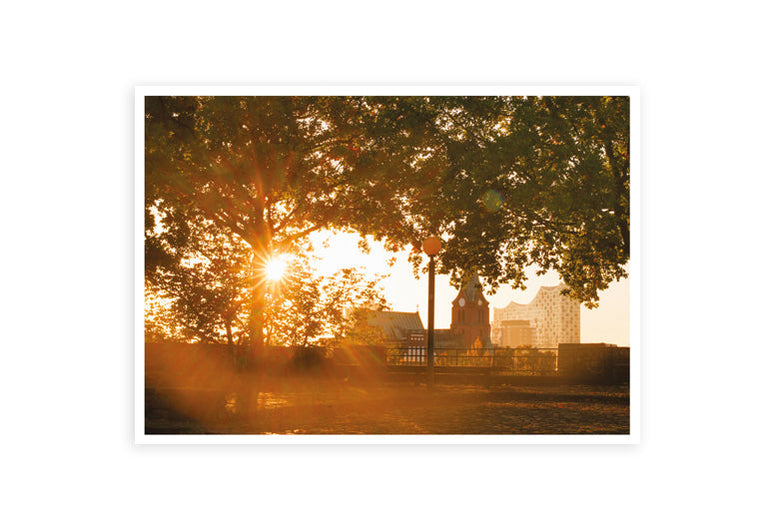 Hamburg Hafencity Sonnenaufgang | Postkarte