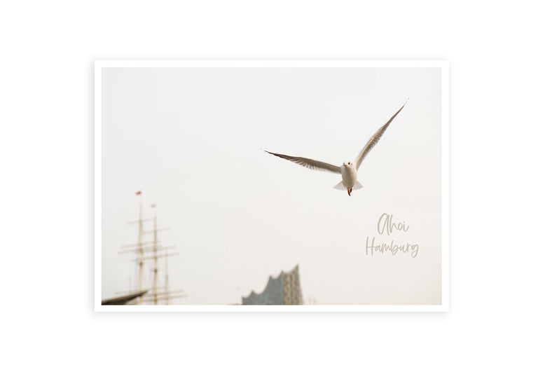 Hamburg Ahoi Möwe | Postkarte