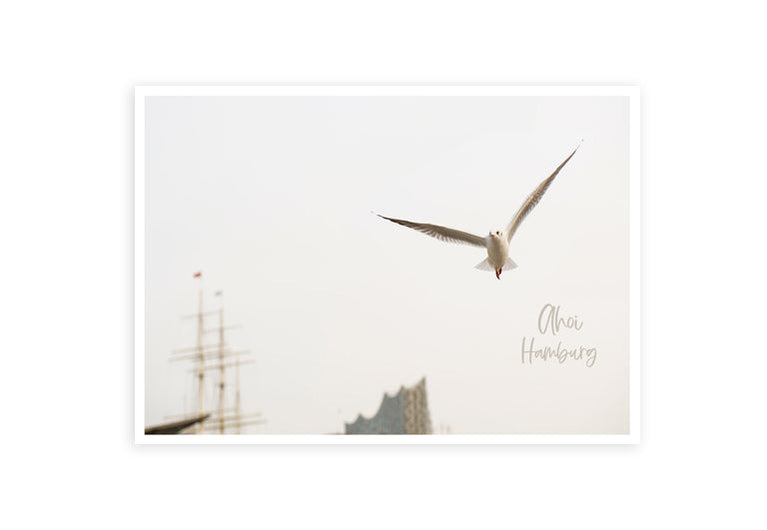 Hamburg Ahoi Möwe | Postkarte