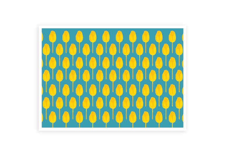 Tulpen | Postkarte | Gruß | Geburtstag