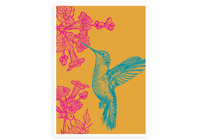 Kolibri | Postkarte | Humor | Gruß