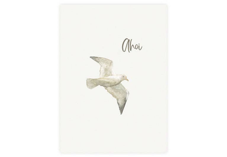Postkarte Ahoi Möwe | Gruß