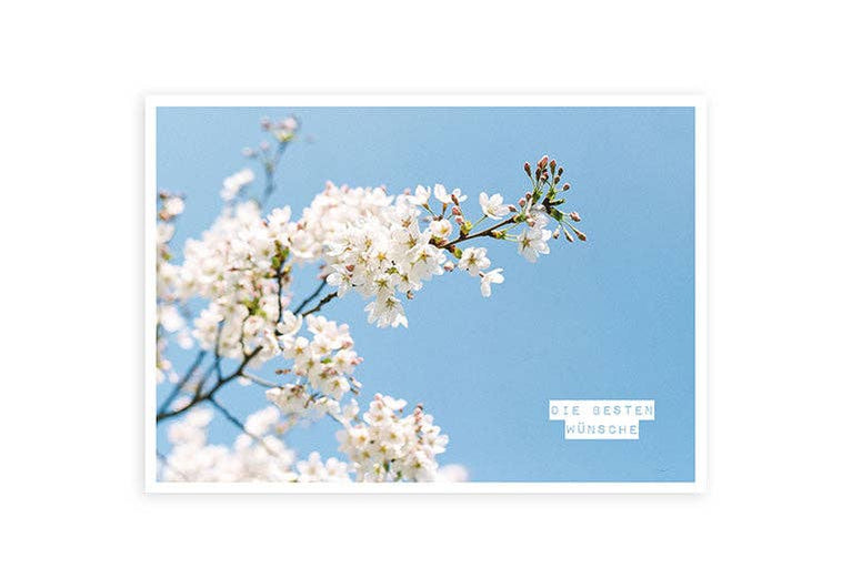 Beste Wünsche | Postkarte | Gruß