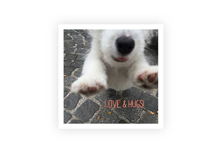 Hund Love Hugs | Postkarte | Liebe | Geburtstag