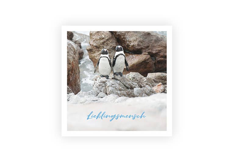 Lieblingsmensch | Postkarte | Freundschaft