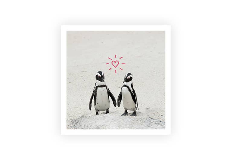 Pinguine mit Herz | Postkarte | Liebe | Freundschaft