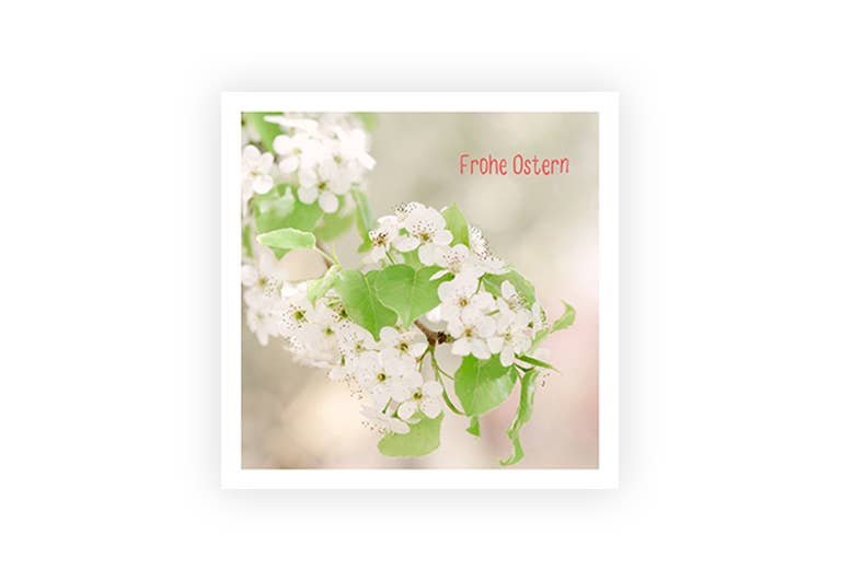 Ostern Apfelblüte | Postkarte
