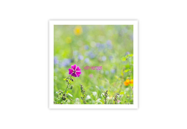 Blume von Herzen | Postkarte | Dank | Gruß