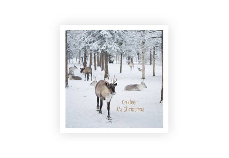 Oh deer | Weihnachten | Postkarte