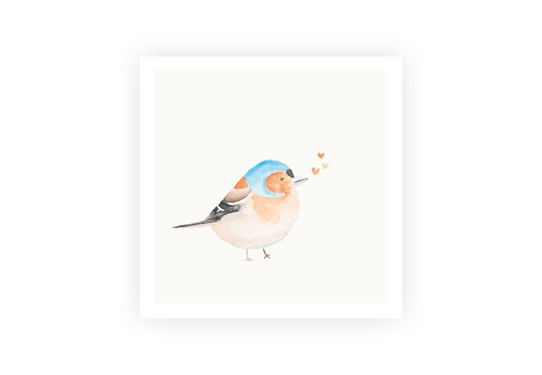 Buchfink Aquarell | Postkarte | Gruß