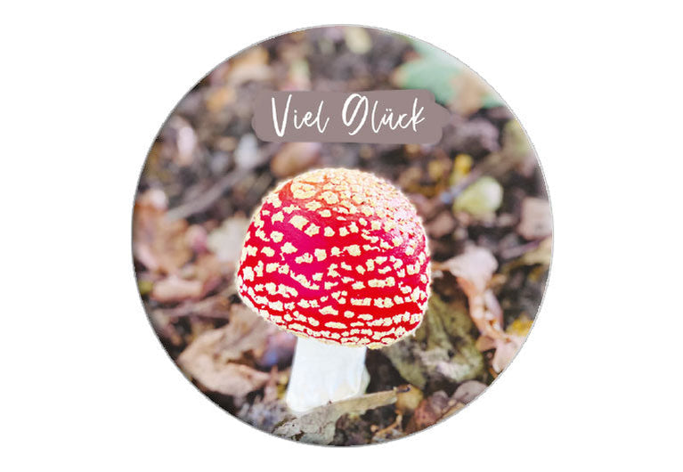 Glückspilz | Fotomagnet rund