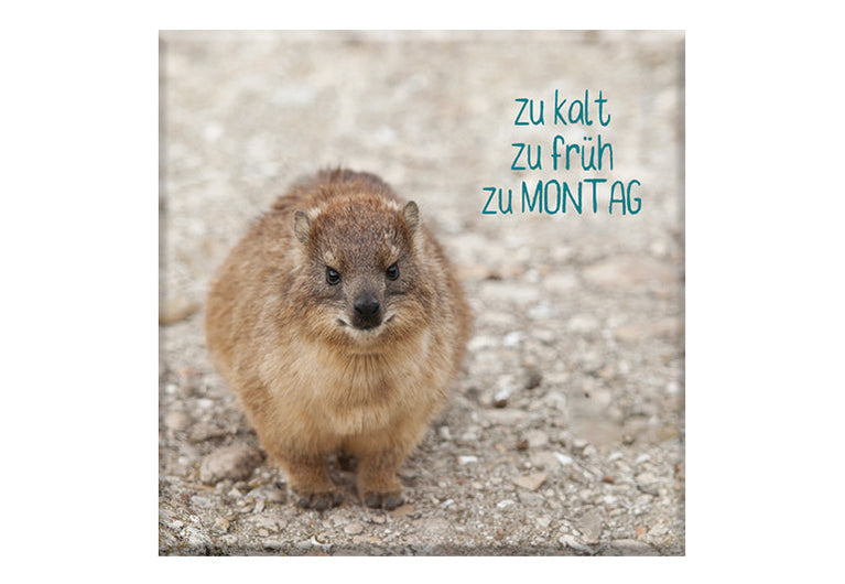 Zu Montag | Fotomagnet eckig