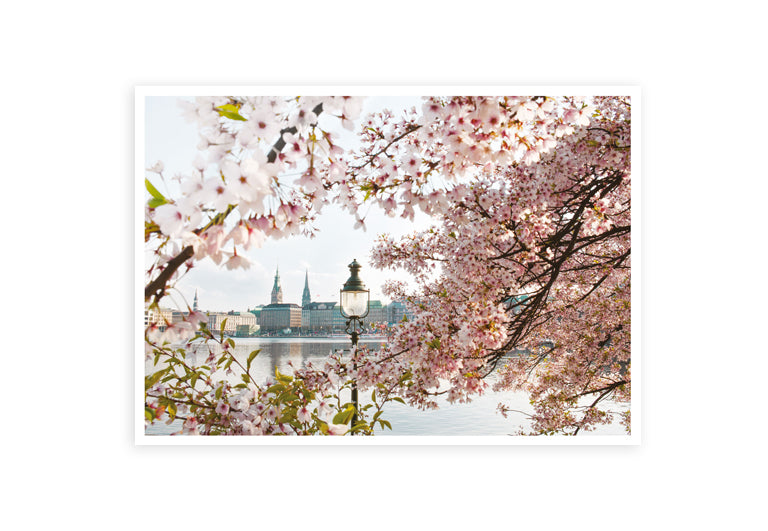 Hamburg Binnenalster Frühling | Postkarte