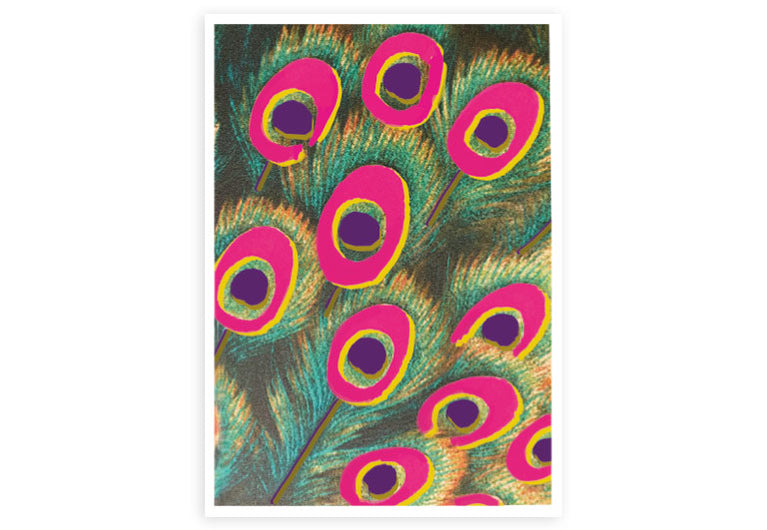 Pfauenfedern | Postkarte