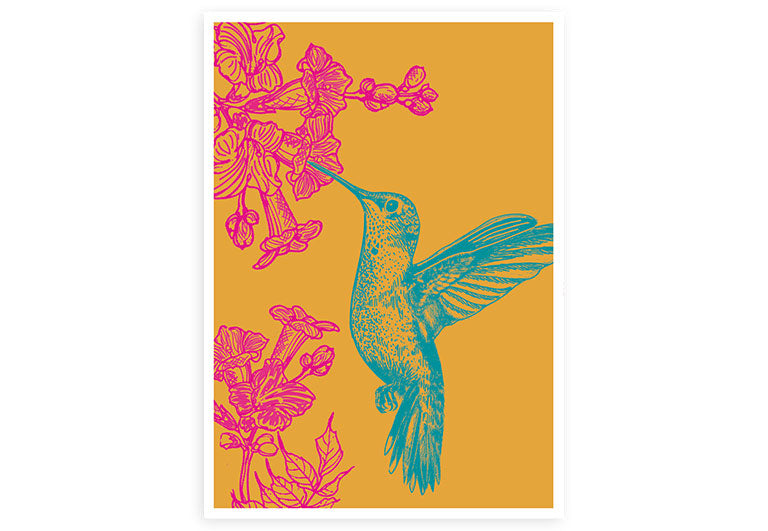 Kolibri | Postkarte | Humor | Gruß